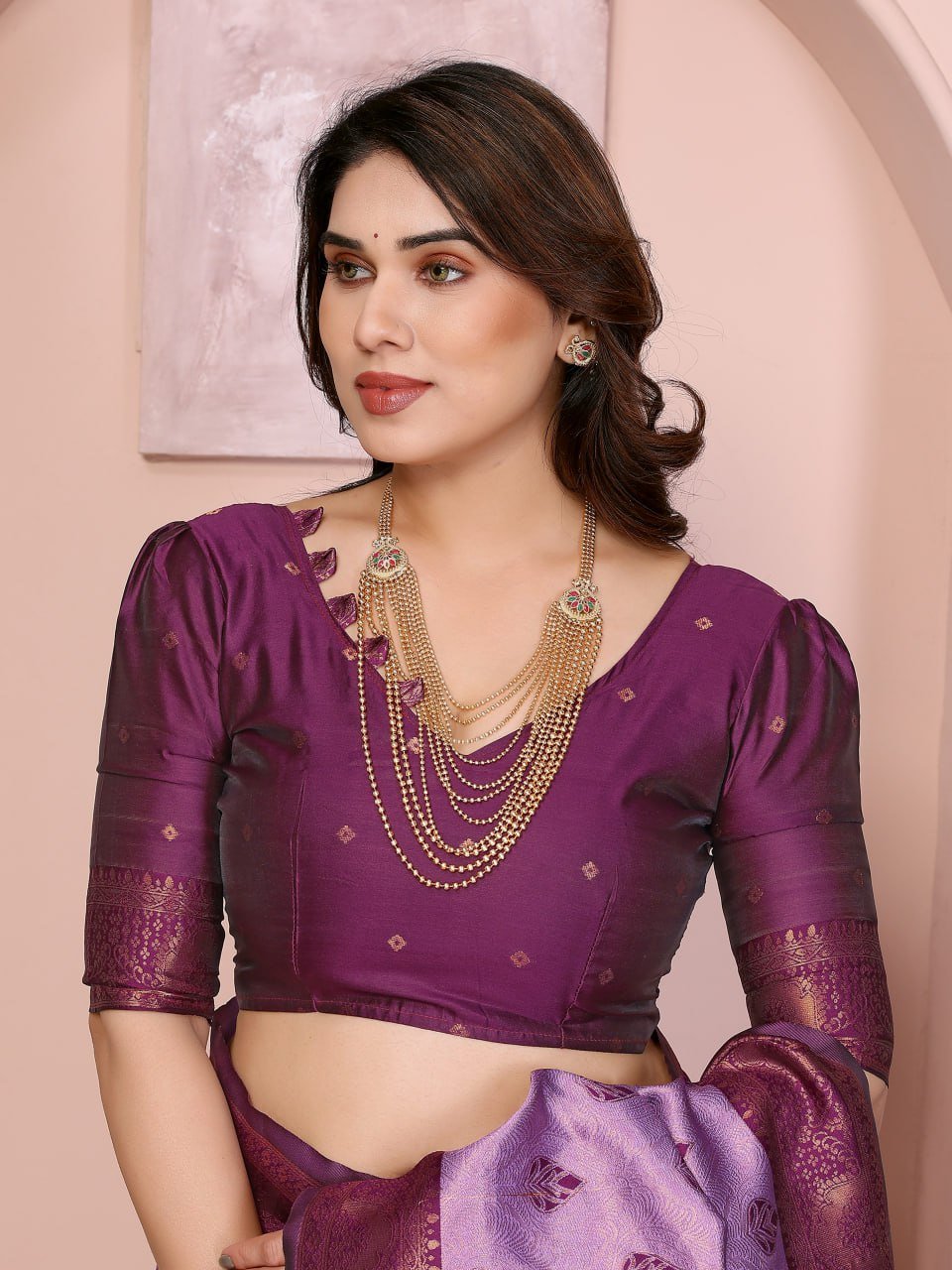 Purple Banarasi Soft Silk Jacquard Border Saree