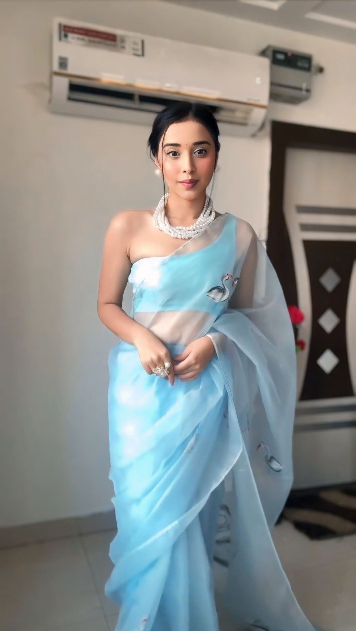 Pure Organza Sky Blue Saree with Print