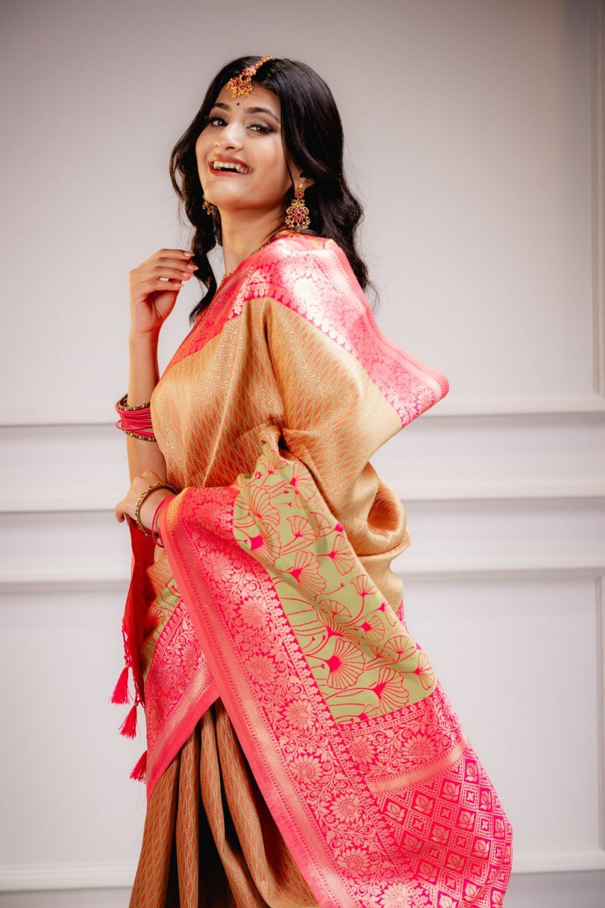 Woman wearing pink and golden Banarasi soft silk saree – wedding saree