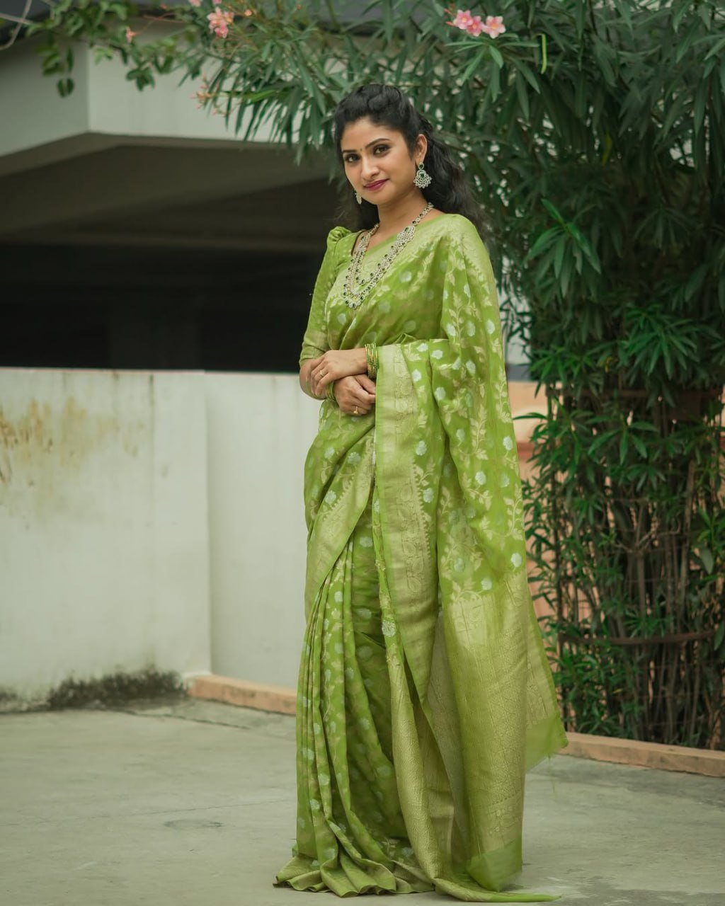 Leaf Green Banarasi Soft Silk Jacquard Border Saree