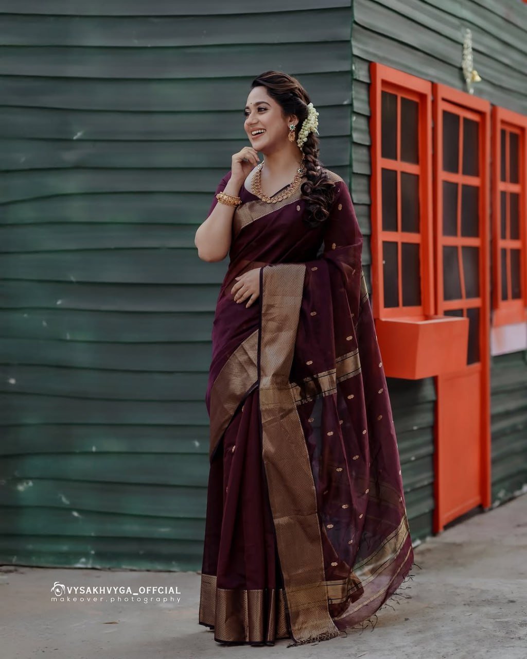 Dark Maroon Banarasi Soft Silk Jacquard Border Saree